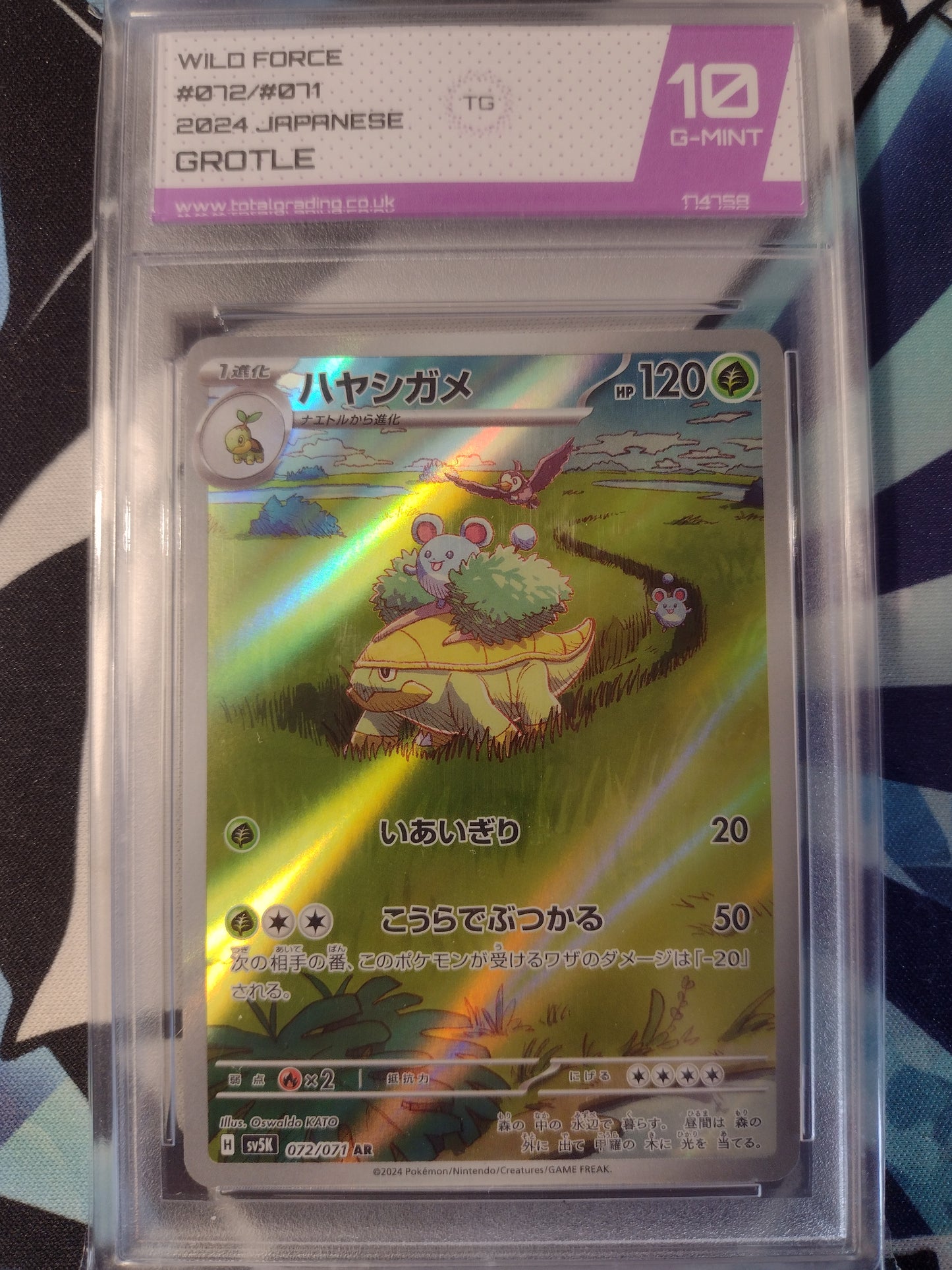 Japanese Grotle 072/071 Wild Force TG 10