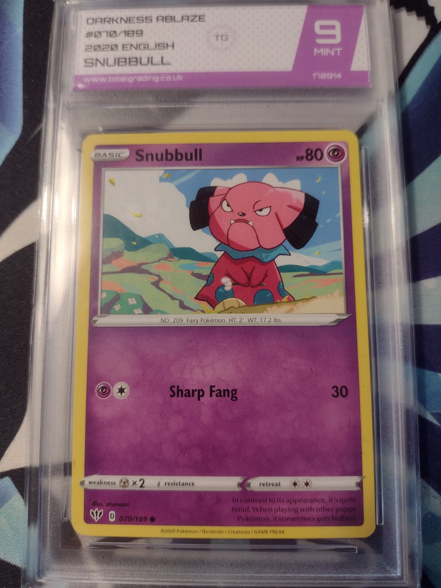 Snubbull 070/189 Darkness Ablaze TG 9