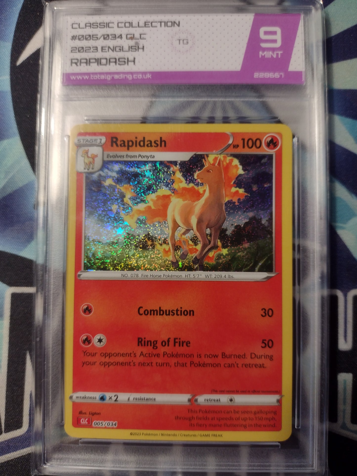Rapidash 005/034 Classic Collection TG 9